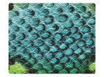 245 Blue_Green Snake PU